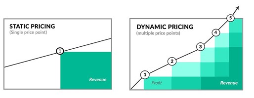 dynamic pricing vs static pricing