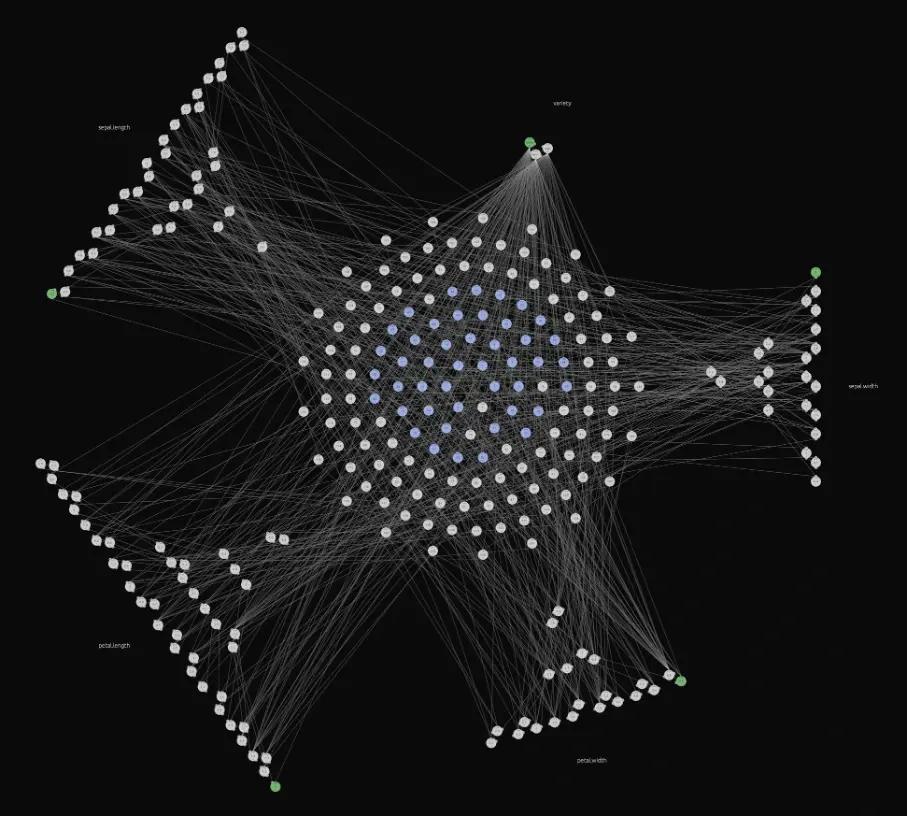 neural nature of raw data representation in the graph