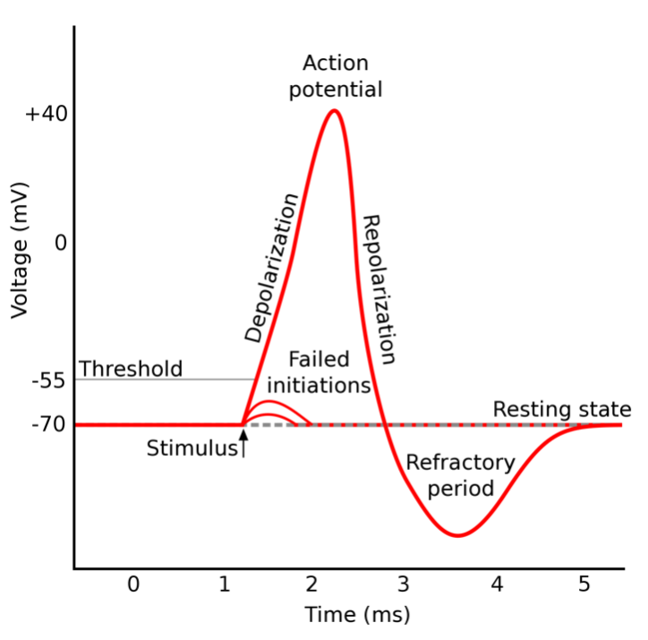 recurrent neural networks