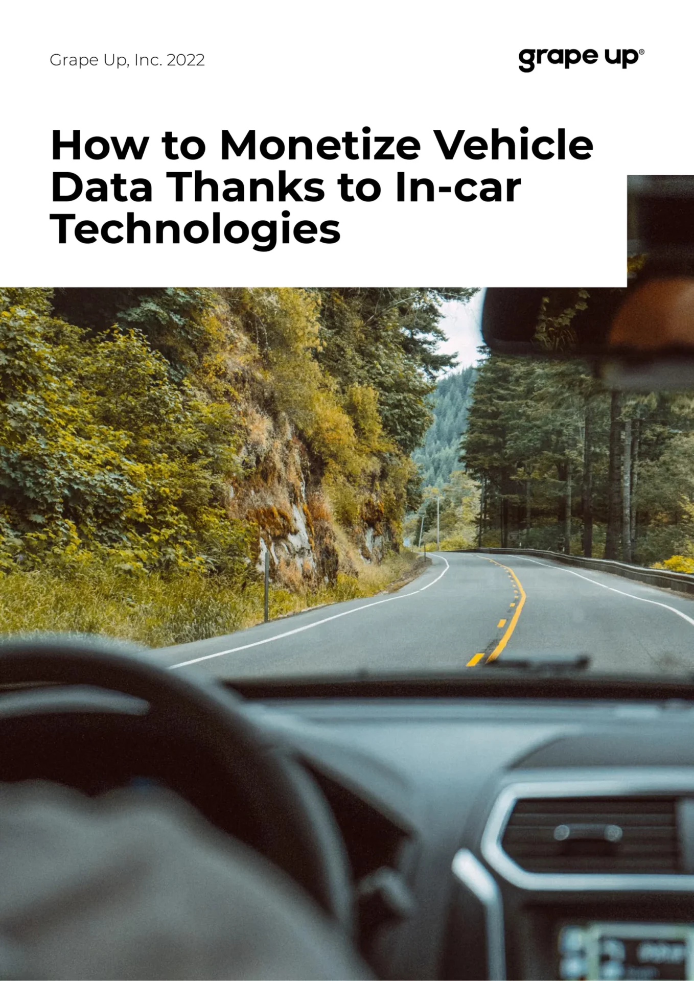 How to Monetize Vehicle Data Thanks to In-car Technologies