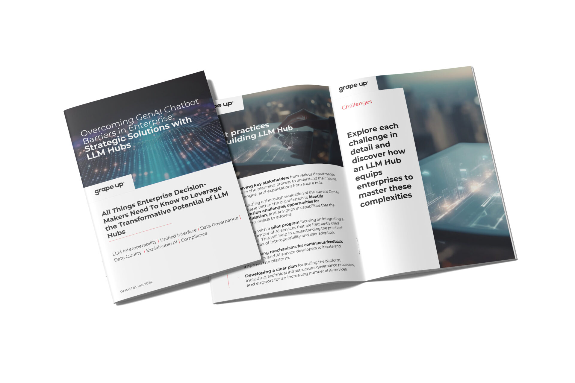 explore the transformative potential of LLM Hubs for your enterprise